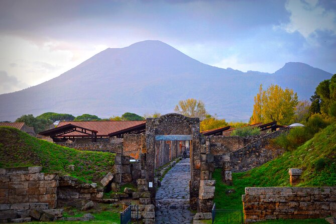 Touristic Highlights of Pompei on a Private Half Day Tour With a Local - Frequently Asked Questions
