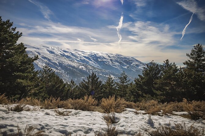Touristic Highlights of Sierra Nevada on a Private Full Day Tour With a Local - Insider Tips