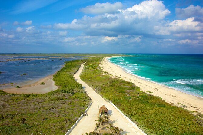 Tours along the beaches of Cozumel Mexico by buggy all inclusive - Good To Know