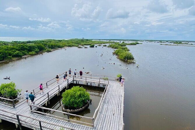 Tours along the beaches of Cozumel Mexico by buggy all inclusive - Who Should Consider This Tour?