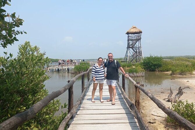 Tours along the beaches of Cozumel Mexico by buggy all inclusive - The Sum Up