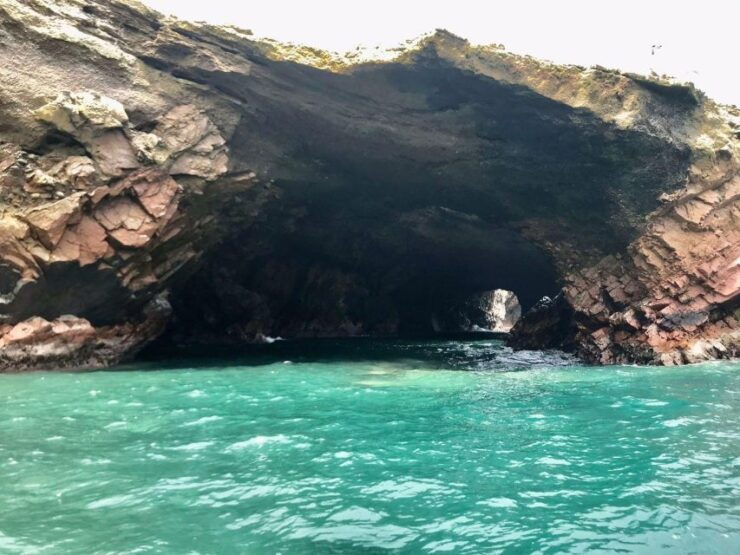 Tours Ballestas Island Form Paracas - Experience Highlights