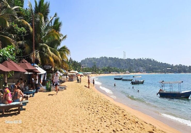 Tours From Colombo Airport - 06 Days Tour Sri Lanka - Good To Know