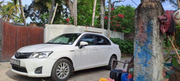 Tours From Colombo Airport - 06 Days Tour Sri Lanka - Tips for Travelers