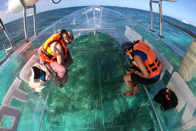 Tours in Cabo to the Arch and Lands End in the Only Clear Boat! - Traveler Photos