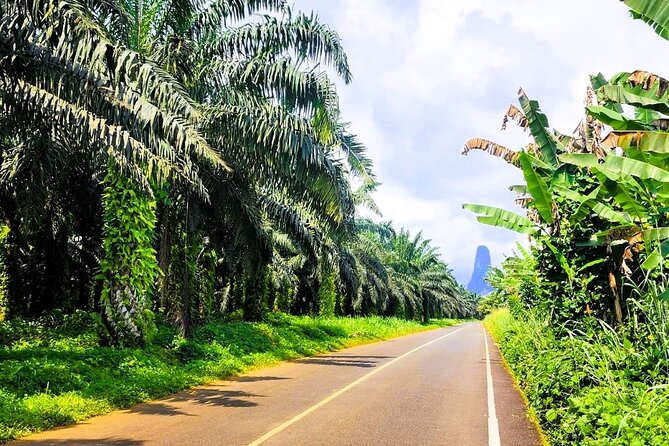 Tours in São Tomé - Good To Know