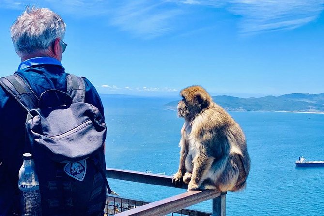 Tours of Gibraltar - STANDARD TOUR - Meeting and Pickup Details