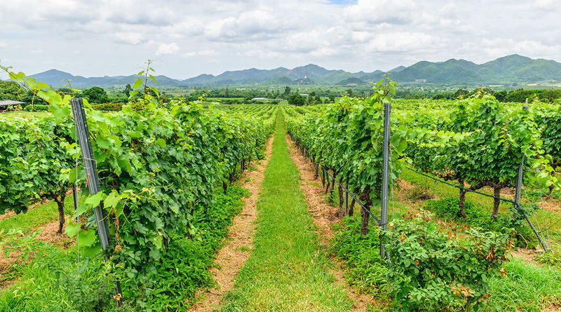 Tours of popular tourist attractions and Monsoon Valley Vineyards in Hua Hin - Rajabhakti Park and Its Seven Kings