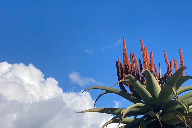 Tours of Santa Barbara - Pricing and Reviews