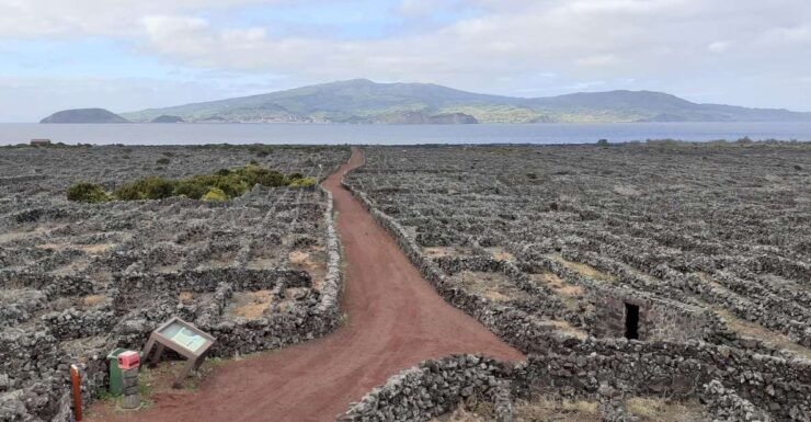 Tours on Pico Island - Cultural and Natural Landscape - Activity Details
