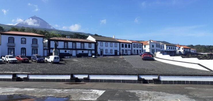Tours on Pico Island - Cultural and Natural Landscape - Tour Experience