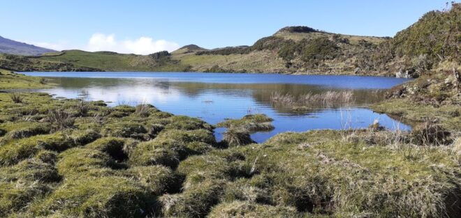 Tours on Pico Island - Cultural and Natural Landscape - Volcanic Nature of the Island