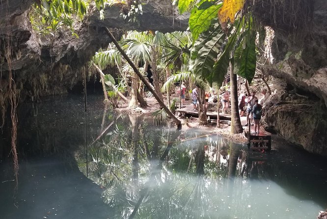 Tours On The Island Cozumel - Unforgettable Cenote Adventures