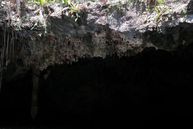 Tours On The Island Cozumel - The Sum Up
