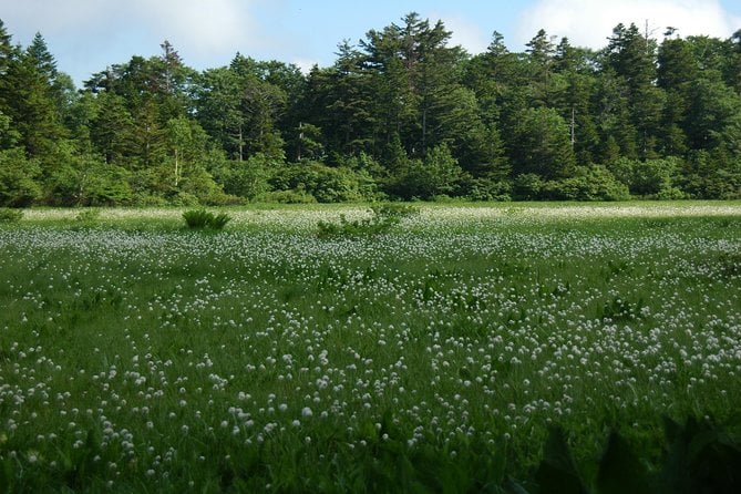 Towards Silent Unexplored Pond, Naganuma Guided Walk - Overview