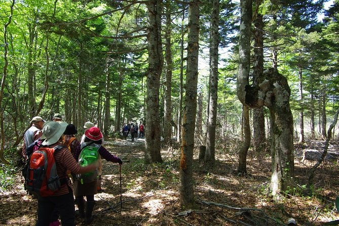 Towards Silent Unexplored Pond, Naganuma Guided Walk - Cancellation Policy