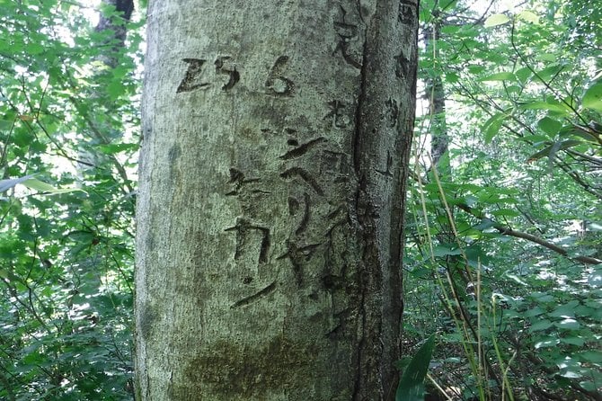 Towards Silent Unexplored Pond, Naganuma Guided Walk - Directions