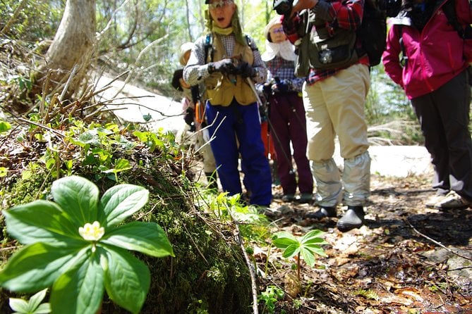 Towards Silent Unexplored Pond, Naganuma Guided Walk - The Sum Up