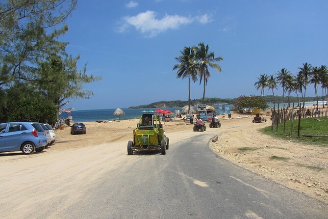 Towels  - Dominican Republic - Towels 2024 Overview