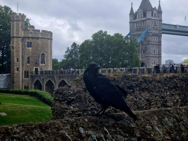 Tower of London Crown Jewels & Royal History of England - Defensive Battlements and Torture Instruments