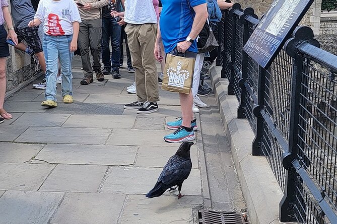 Tower of London: Guided Tour With Thames River Cruise - Traveler Photos and Reviews