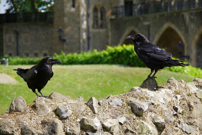 Tower of London Private Walking Tour - Tour Details