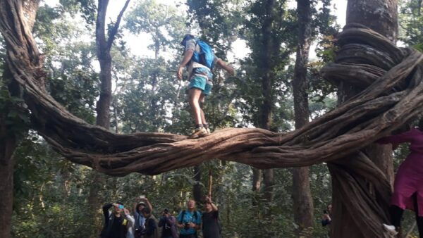 Tower Stay in Chitwan National Park - Environmental Responsibility