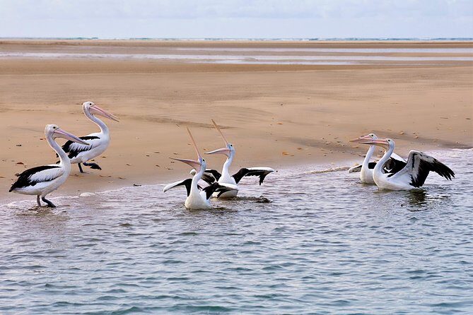 Town of 1770 Afternoon Cruise - The Experience in Detail