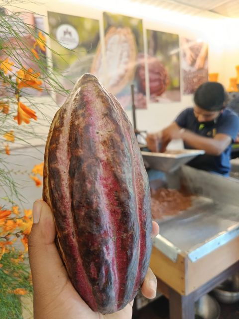 Towns of La Antigua: Local Culture, Chocolate, Jade and More - Culinary Delights