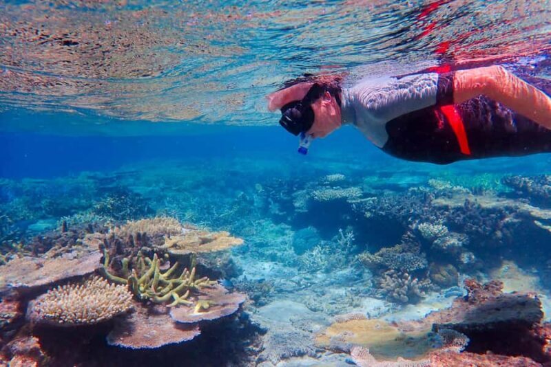 Townsville: Great Barrier Reef and MOUA Snorkeling Day Tour - An In-Depth Look at the Reef Adventure
