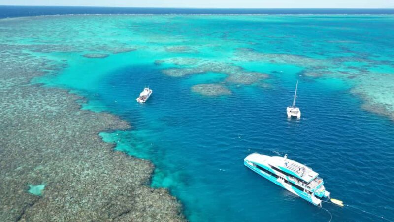 Townsville: Great Barrier Reef and MOUA Snorkeling Day Tour - Who Will Love This Tour?
