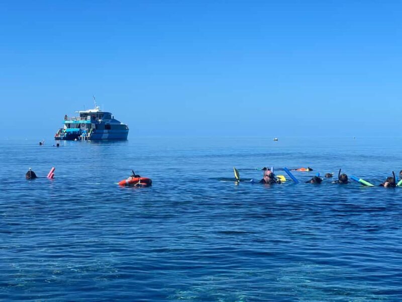 Townsville: Great Barrier Reef and MOUA Snorkeling Day Tour - Final Thoughts