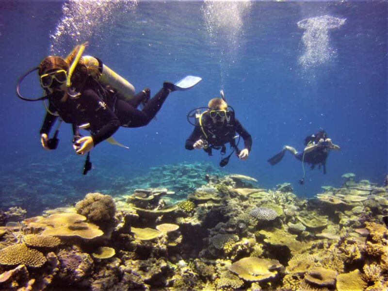 Townsville & Magnetic Island: Reef Explorer Scuba Experience - Food, Refreshments, and Comfort Onboard