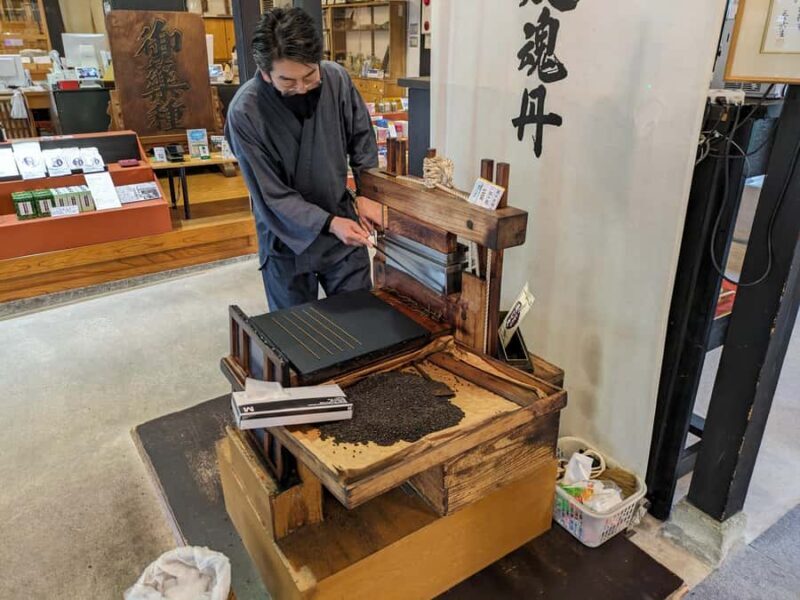 Toyama City: Stunning Streetscapes and Local History Tour - The Viewpoint and Photo Stops