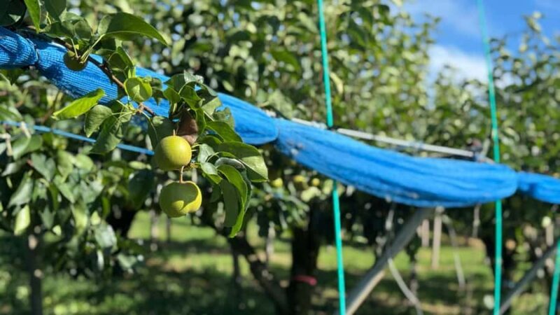 Toyama: E-Bike Tour with Local Guide - Discovering Toyama’s Hidden Gems on Two Wheels