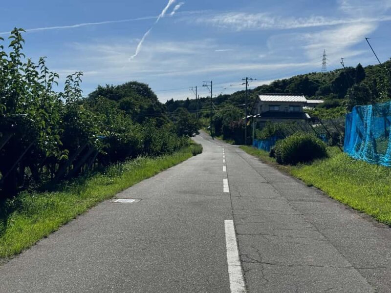 Toyama: E-Bike Tour with Local Guide - Who Will Love This Tour?