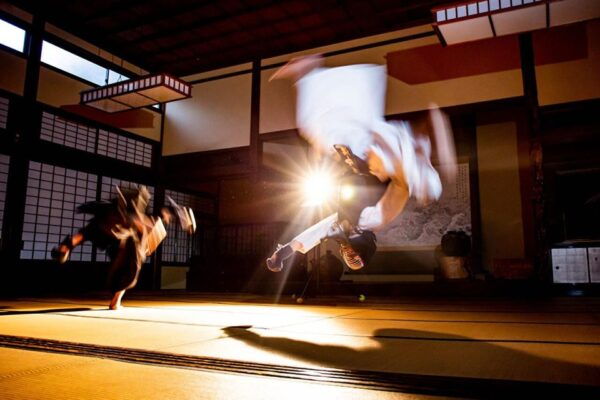 TOYOKAWA INARI in Japan:Ultimate Luxurious Tours - The Sum Up