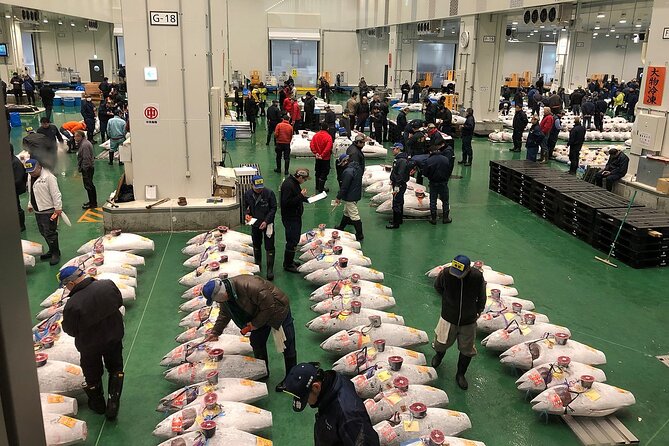 Toyosu and Tsukiji Morning Market With a Local Licensed Guide - Tsukiji Morning Market Highlights