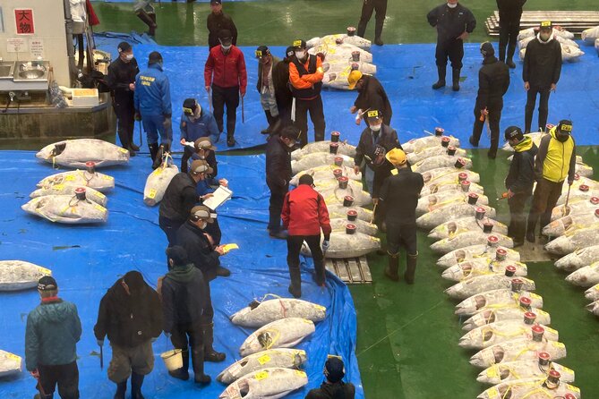 Toyosu Fish Market and Sushi Experience at Private Condo - Experience Details