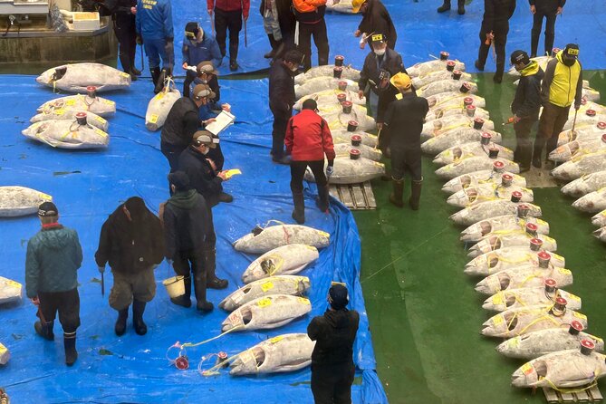 Toyosu Fish Market Tour and Kaiten Zushi in Private Condo - Inclusions