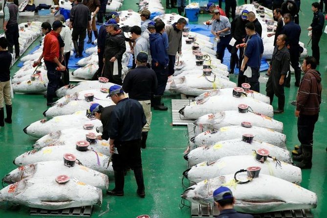 Toyosu Market Morning Tuna Auction and Tsukiji Food Tour With Licensed Guide - Transportation and Pick-up Details