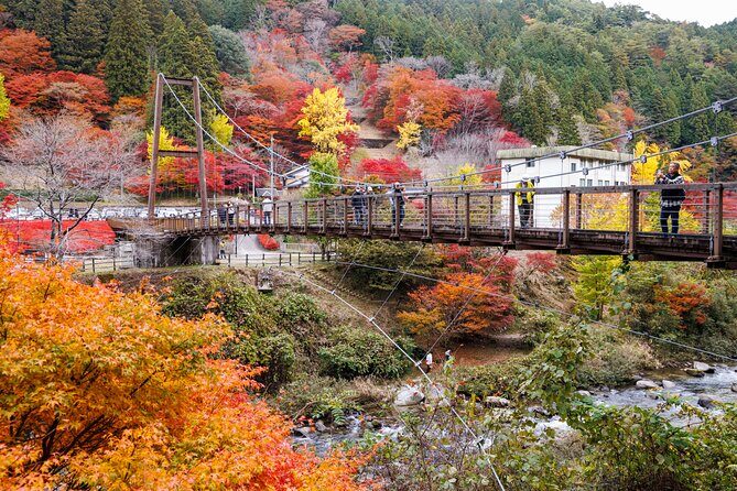 Toyota Green Life Experience Autumn Leaves, Gohei Mochi in Inabu - Final Thoughts: Is This Tour for You?
