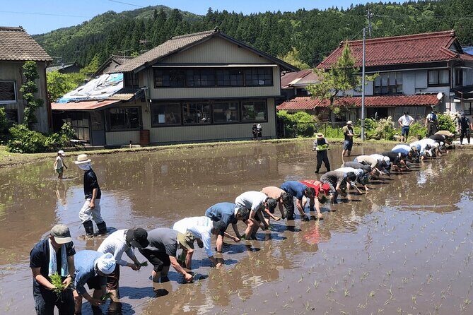 Toyota Green Life Experience Seasonal Farm with Farmers in Inabu - Introduction