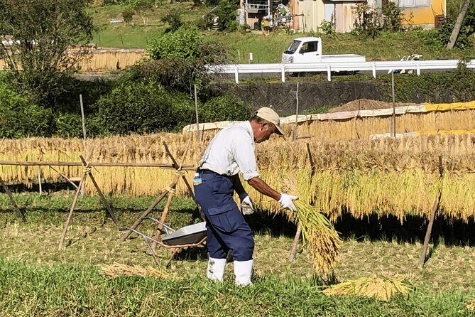 Toyota Green Life Experience Seasonal Farm with Farmers in Inabu - Who Would Love This Tour?