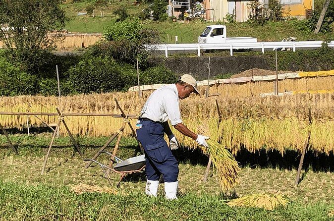 Toyota Green Life Experience Seasonal Farm with Farmers in Inabu - The Sum Up