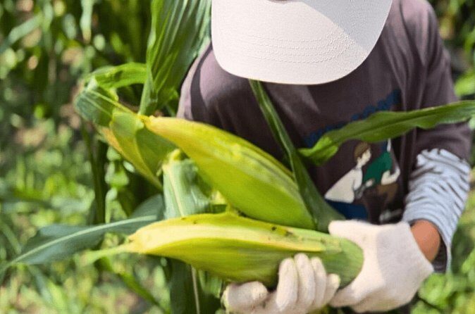 Toyota Green Life Experience Seasonal Farm with Farmers in Inabu - FAQ