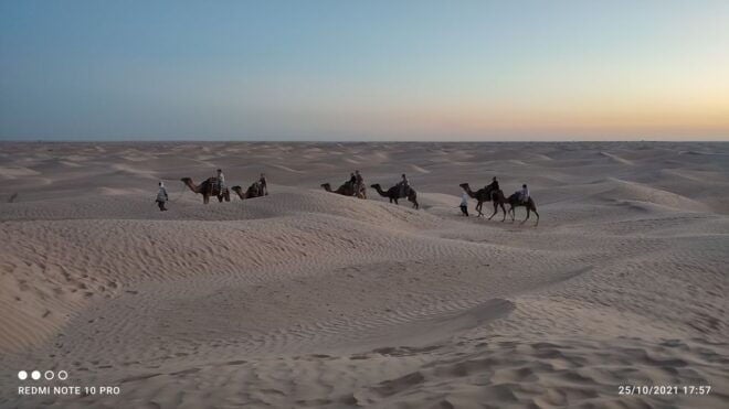 Tozeur: 2-Day Desert Overnight Stay in a Tent & Camel Trek - Detailed Activity Description