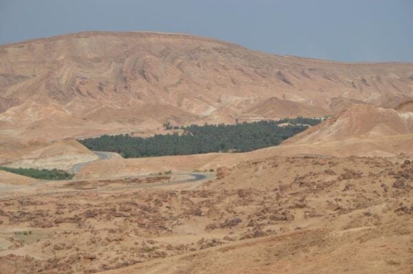 Tozeur: 2-Day Desert Overnight Stay in a Tent & Camel Trek - Day 2 Itinerary