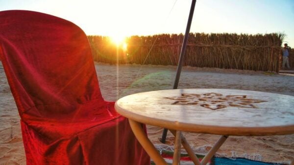 Tozeur: 2-Day Desert Overnight Stay in a Tent & Camel Trek - The Sum Up