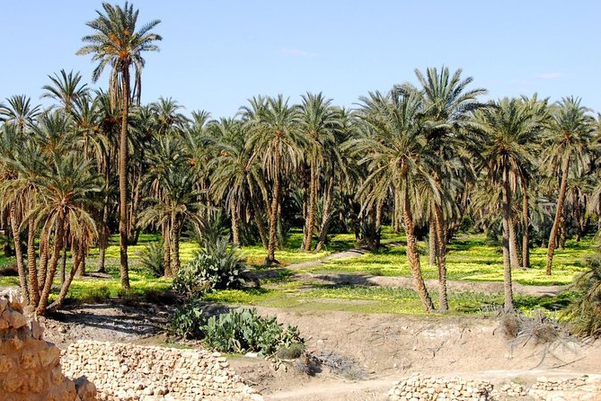 Tozeur and the Mountain Oasis - Outdoor Activities in the Mountain Oasis